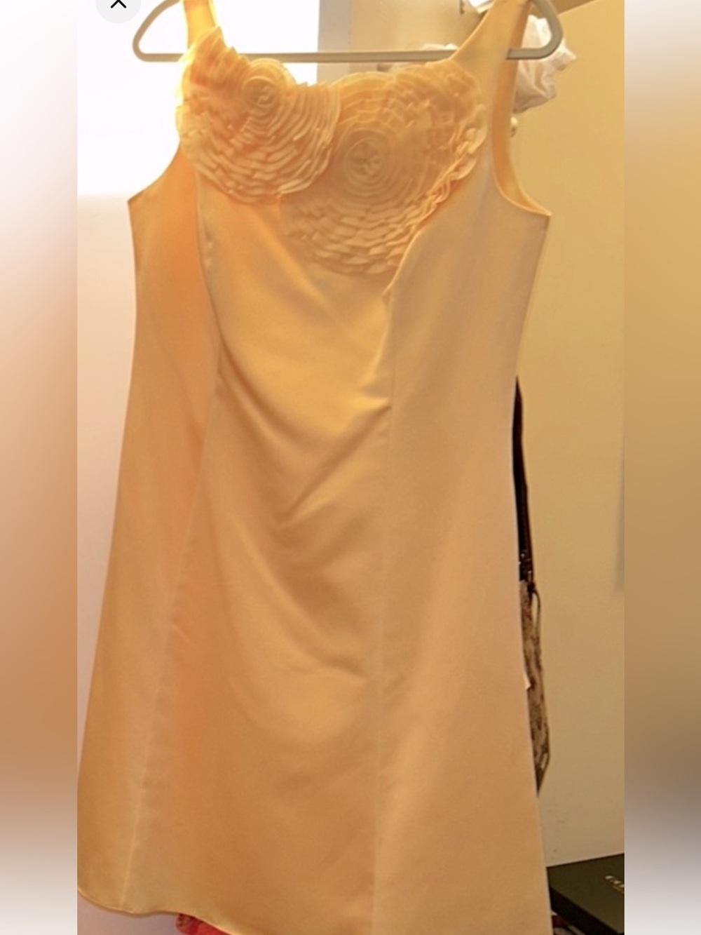 Davids Bridal yellow dress